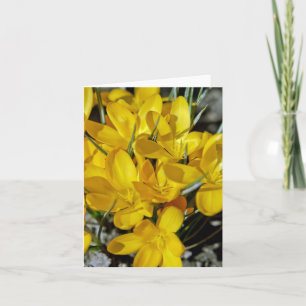 Gelbe Blume Feiertagskarte