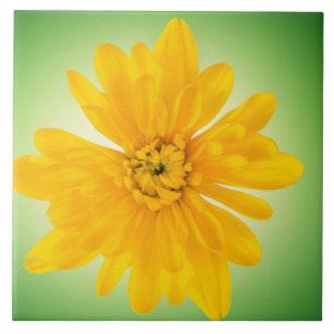 Gelbe Blume Fliese