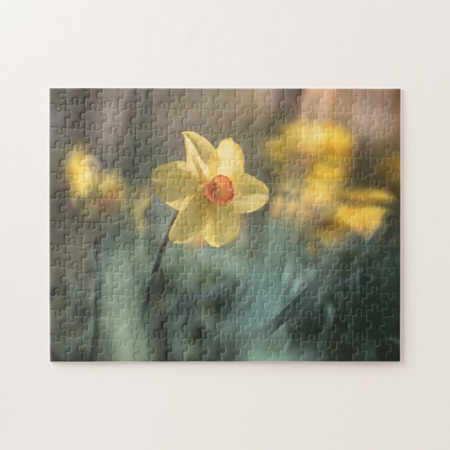 Gelbe Blume Foto (Horizontal)