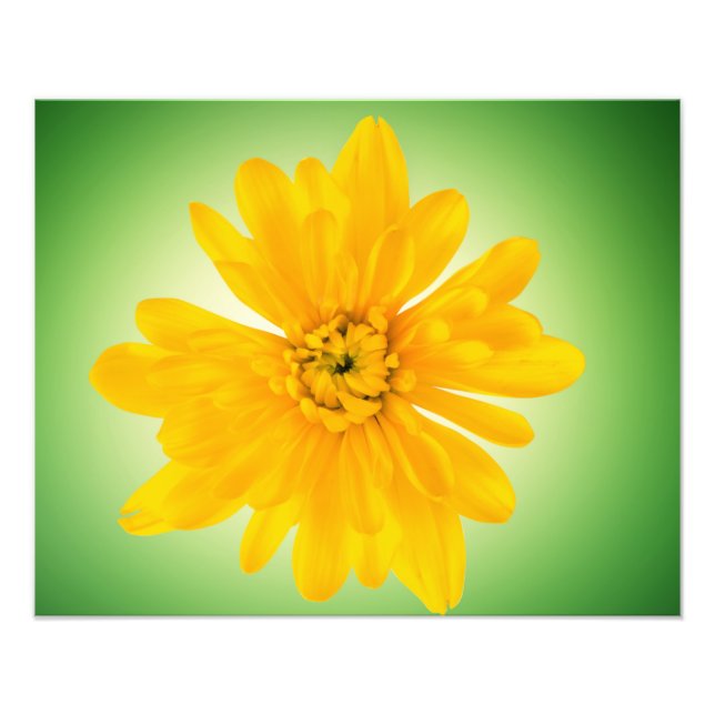 Gelbe Blume Fotodruck (Vorne)