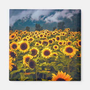 Gelbe Blume für Blumenfelder Magnet