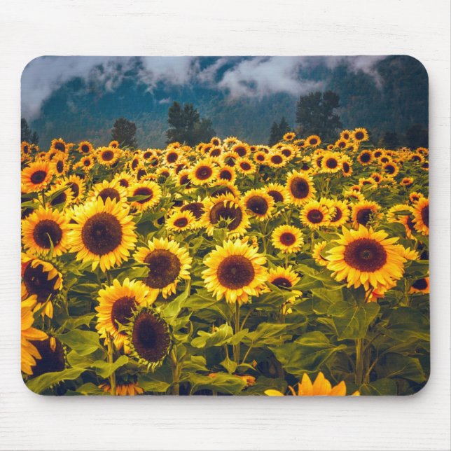 Gelbe Blume für Blumenfelder Mousepad (Vorne)