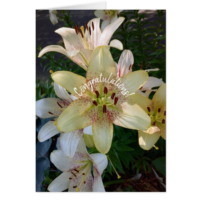 Gelbe Blume Glückwunsch Karte (Vorne)