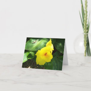 Gelbe Blume in Schatten Karte