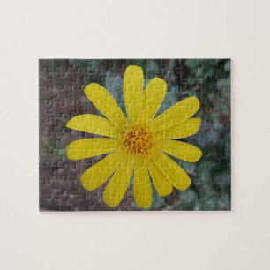 Gelbe Blume Jigsaw Puzzle