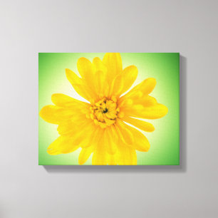 Gelbe Blume Leinwanddruck
