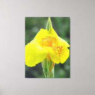 Gelbe Blume Leinwanddruck