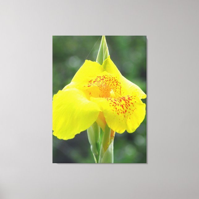 Gelbe Blume Leinwanddruck (Vorderseite)