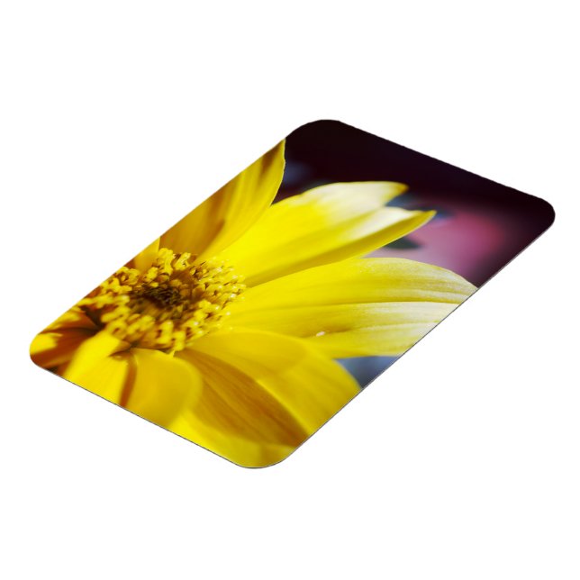 Gelbe Blume Magnet (Linke Seite)