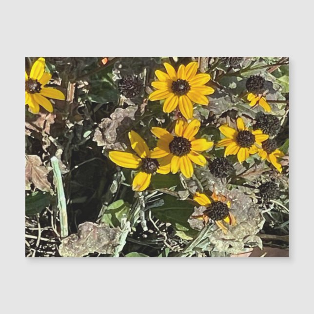 Gelbe Blume Magnetkarte (Vorderseite)