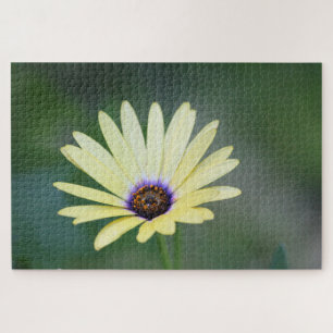 Gelbe Blume mit Grün