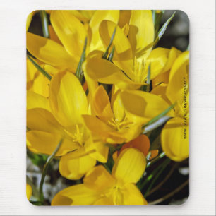 Gelbe Blume Mousepad