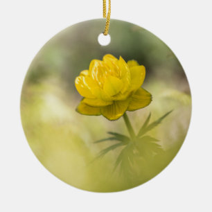 Gelbe Blume Natur Foto Keramik Ornament