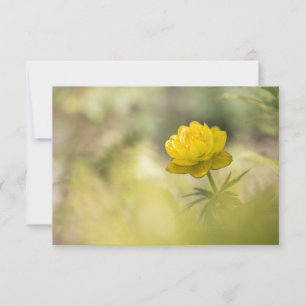 Gelbe Blume Naturfotokarte