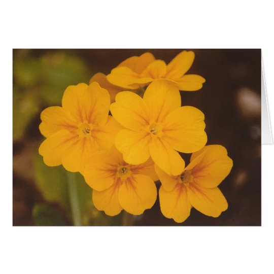 Gelbe Blume Notecard Karte