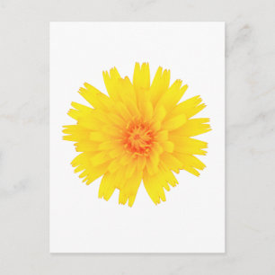 Gelbe Blume Postkarte