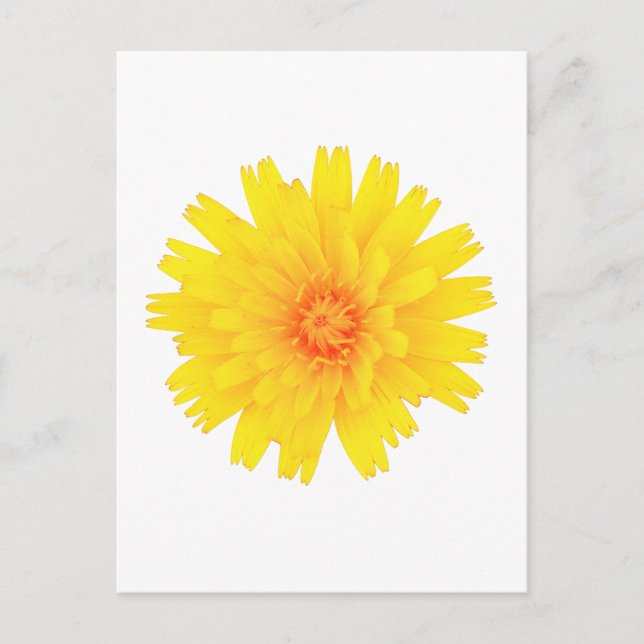 Gelbe Blume Postkarte (Vorderseite)