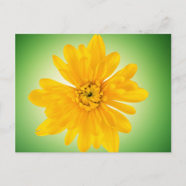 Gelbe Blume Postkarte (Vorderseite)