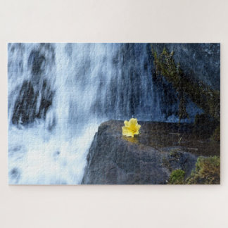 Gelbe Blume Primrose im Wasserfall