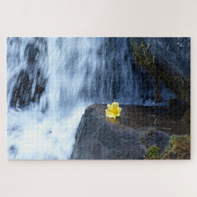 Gelbe Blume Primrose im Wasserfall (Horizontal)