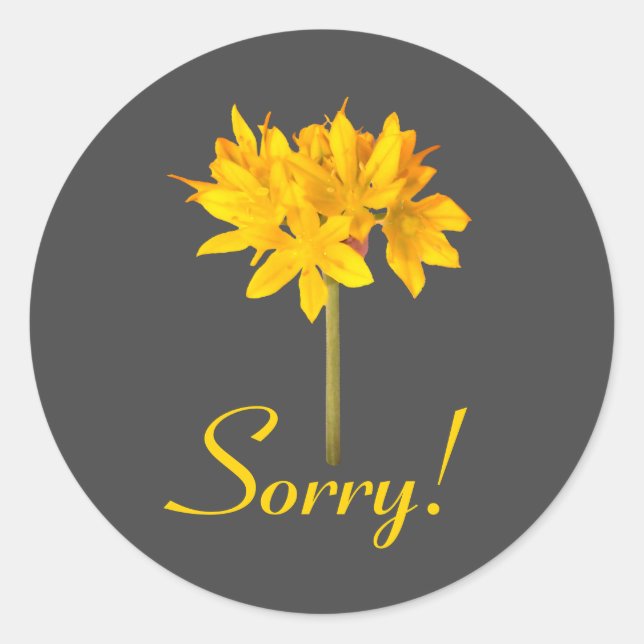 Gelbe Blume Sorry Runder Aufkleber (Vorderseite)