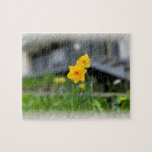 Gelbe Blumen