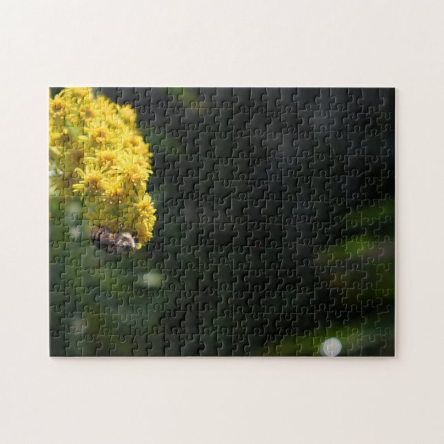 Gelbe Blumen Hummeln Natur Fotografie (Horizontal)