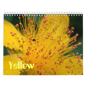 Gelbe Blumen Kalender