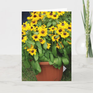 Gelbe Blumen Karte