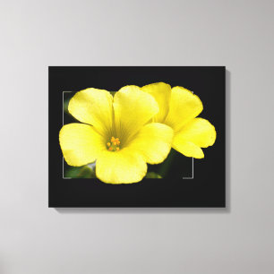 gelbe Blumen Leinwanddruck