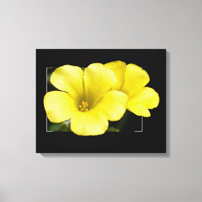 gelbe Blumen Leinwanddruck (Vorderseite)