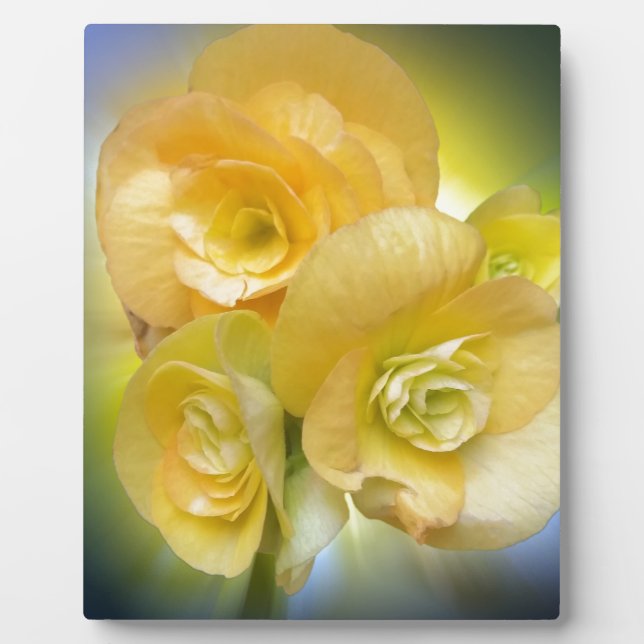 gelbe Blumen leuchten Fotoplatte (Vorderseite)