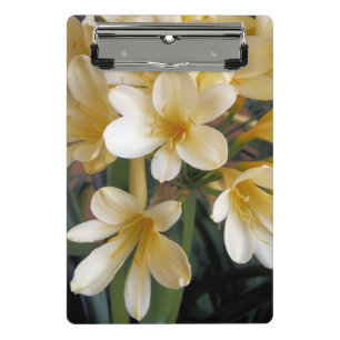 GELBE BLUMEN MINI KLEMMBRETT