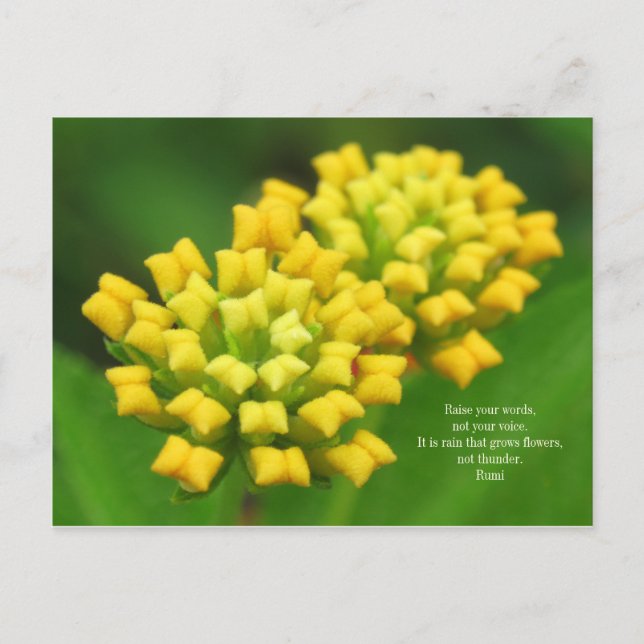 Gelbe Blumen mit Rumi Quote Postkarte (Vorderseite)