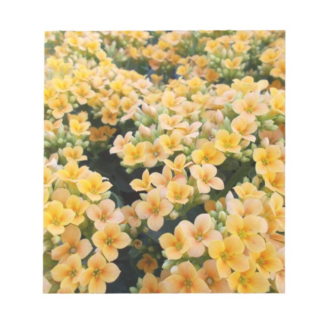 Gelbe Blumen Notizblock (Vorderseite)