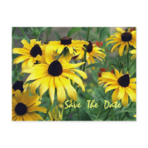 Gelbe Blumen Save the Date Postkarte