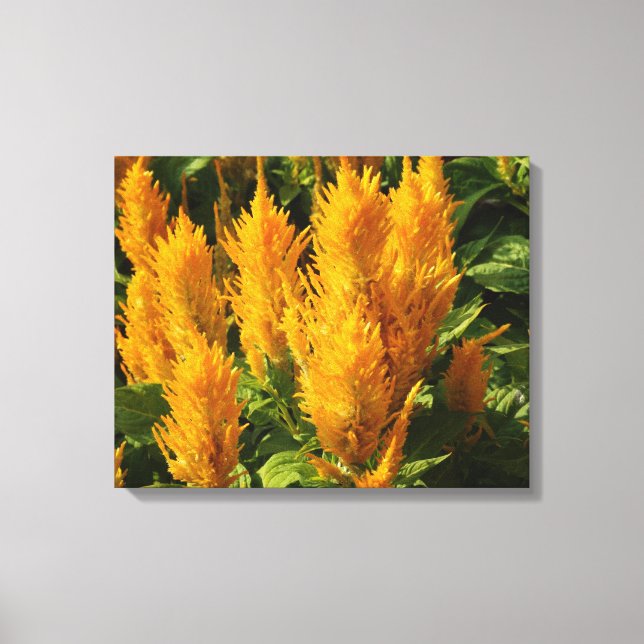 Gelbe Blumen Single Leinwanddruck (Vorderseite)