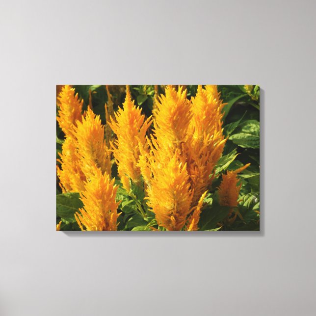 Gelbe Blumen Single Leinwanddruck (Vorderseite)