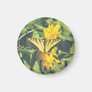 Gelbe Blumen und Schmetterling Magnet