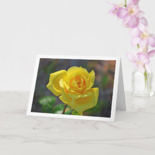 Gelbe Blumenrose-Porträt Karte