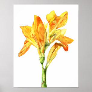Gelbe Blumewatercolor-Malerei, feine Kunst Poster