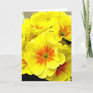 Gelbe Blüte im Frühling Feiertagskarte
