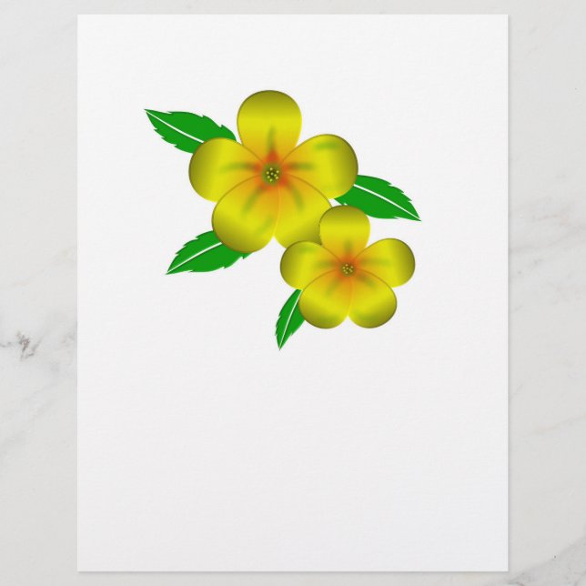 Gelbe Blüten aus Damiana Flyer (Vorne)