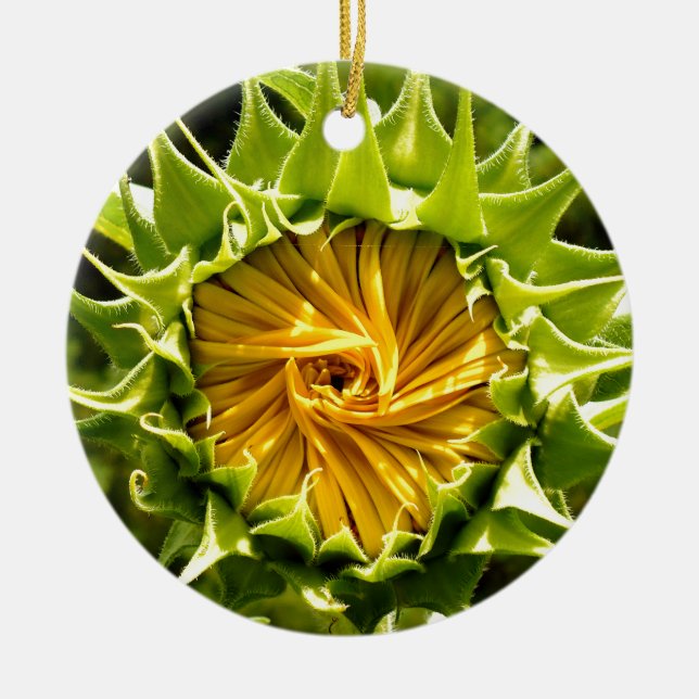 Gelbe Blütenblume Keramikornament (Vorne)