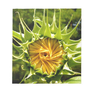 Gelbe Blütenblume Notizblock