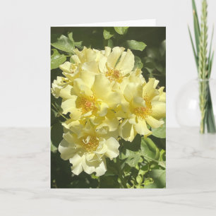 Gelbe botanische Blume Karte