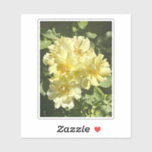 Gelbe Botanische Blumen