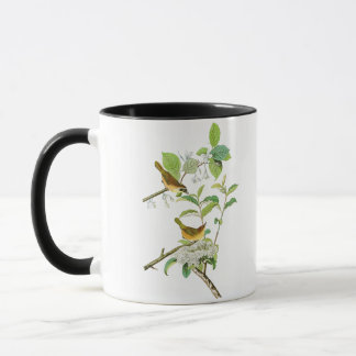 Gelbe-breasted Vögel Amerika Trällerer-Johns Tasse