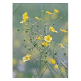 Gelbe Butterblumeen Tischdecke