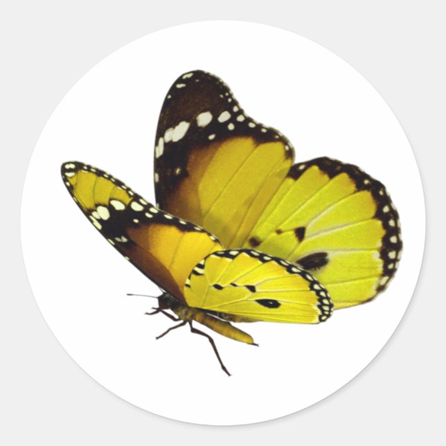 Gelbe Butterfly-Aufkleber Runder Aufkleber (Vorderseite)